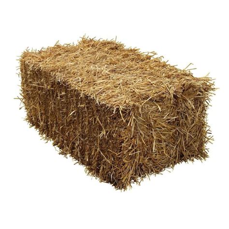Feeding free-choice hay promotes a natural chewing behavior. . Home depot hay bales